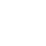 The Backyard